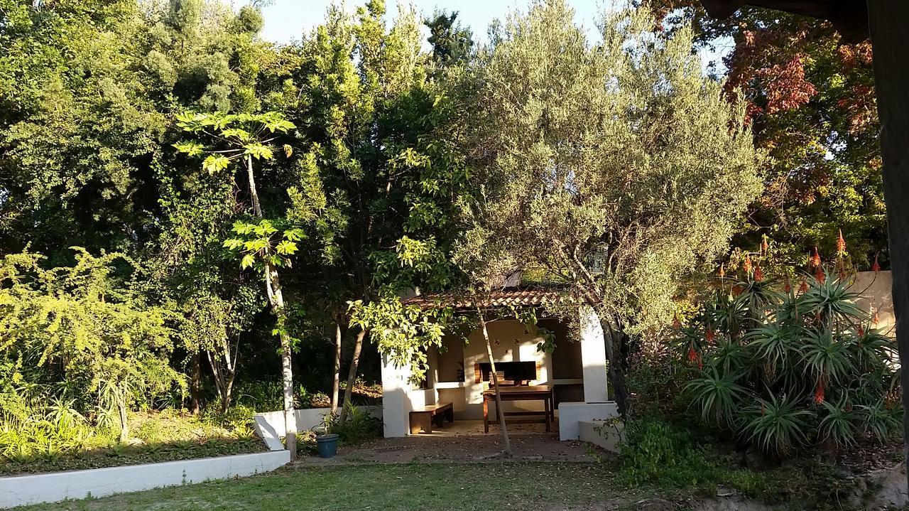 Amberhall Guesthouse Johannesburg Exterior photo